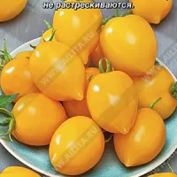 Томат Цитрусовый сад