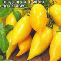 Купить семена Томат Цыпочка, аналог томата Золотой лимон