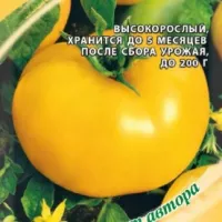 Купить семена Томат долгохранящийся Новогодний