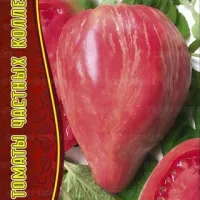Купить семена Томат Долговязая салли малиновая