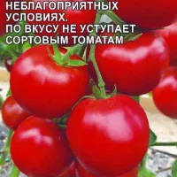 Купить семена Томат Феня F1