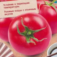 Купить семена Томат Китайский холодоустойчивый