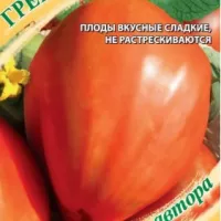 Купить семена Томат Гребешок