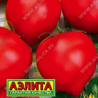 Купить семена Томат Хали Гали