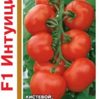 Купить семена Томат Интуиция