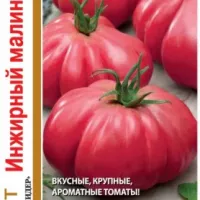 Купить семена Томат Инжирный малиновый