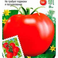 Купить семена Томат Калинка малинка