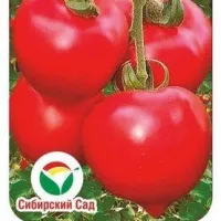 Томат Клубничное дерево