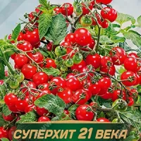 Купить семена Томат Клюква в сахаре
