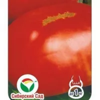 Томат Король гигантов
