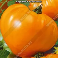 Купить семена Томат Король Сибири