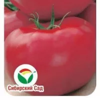 Купить семена Томат Королева рынка