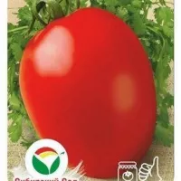 Купить семена Томат Курочка-несушка