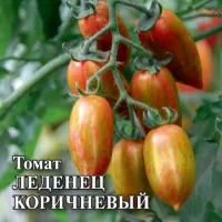 Купить семена Томат Леденец коричневый Купить семена Томат Леденец коричневый