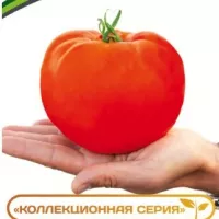 Купить семена Томат Легенда Коктебеля