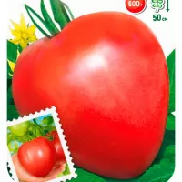 Купить семена Томат Лентяйка