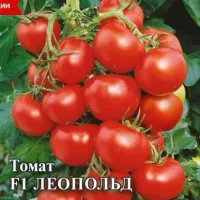 Купить семена Томат Леопольд