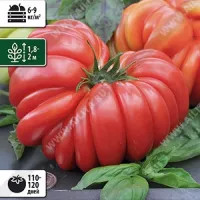 Купить семена Томат Лотарингская красавица