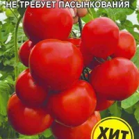Купить семена Томат Мамонтенок