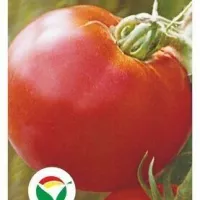 Купить семена Томат Машенька