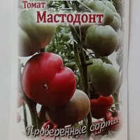 Купить семена томата Мастодонт