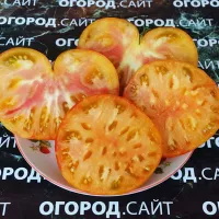 Купить семена Томат Мечта Алисы