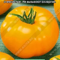 Купить семена Томат Медовый гигант