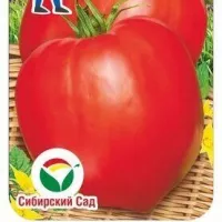 Купить семена Томат Минусинский медведь