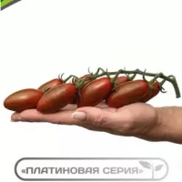 Купить семена Томат Мистика F1
