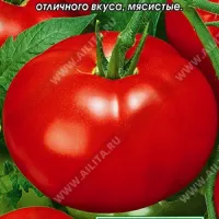 Купить семена Томат Настена F1