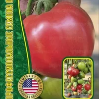 Купить семена Томат ОКС Десерт