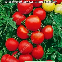 Купить семена Томат Оля F1