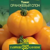 Купить семена Томат Оранжевый слон