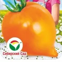 Купить семена томата Орлиный клюв оранжевый
