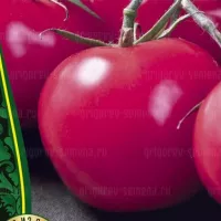 Купить семена Томат Ожаровский Малиновый