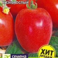 Купить семена Томат-персик Мохнатый Шмель