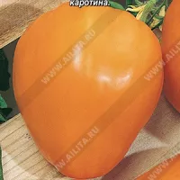 Купить семена Томат Подарок Феи