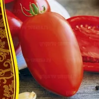 Купить семена Томат Подсинское чудо
