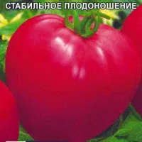 Купить семена Томат Пухляш F1