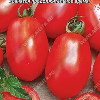 Купить семена Томат Ракета