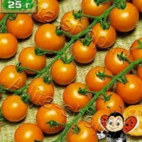 Купить семена Томат Русская коса оранжевая черри