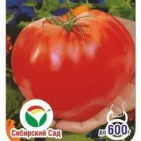 Купить семена Томат Сахарная голова