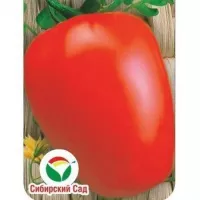 Купить семена Томат Сахарный гигант