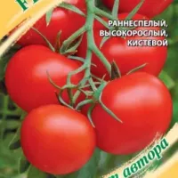 Купить семена Томат Самара