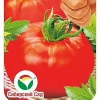 Купить семена Томат Самые лучшие