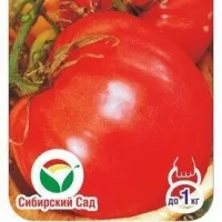 Томат Сердце буйвола