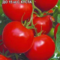 Купить семена Томат Сердцеедка