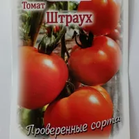 Купить семена Томат Штраух