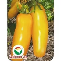 Купить семена Томат Сибирские бананы