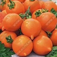 Купить семена томата Смайлик